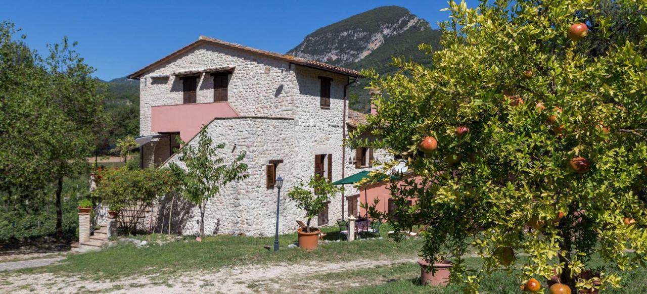 Agriturismo I Melograni Ferentillo Екстериор снимка