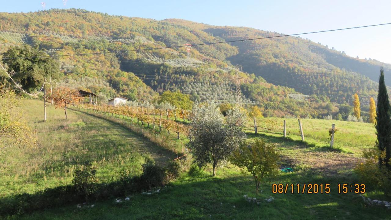Agriturismo I Melograni Ferentillo Екстериор снимка