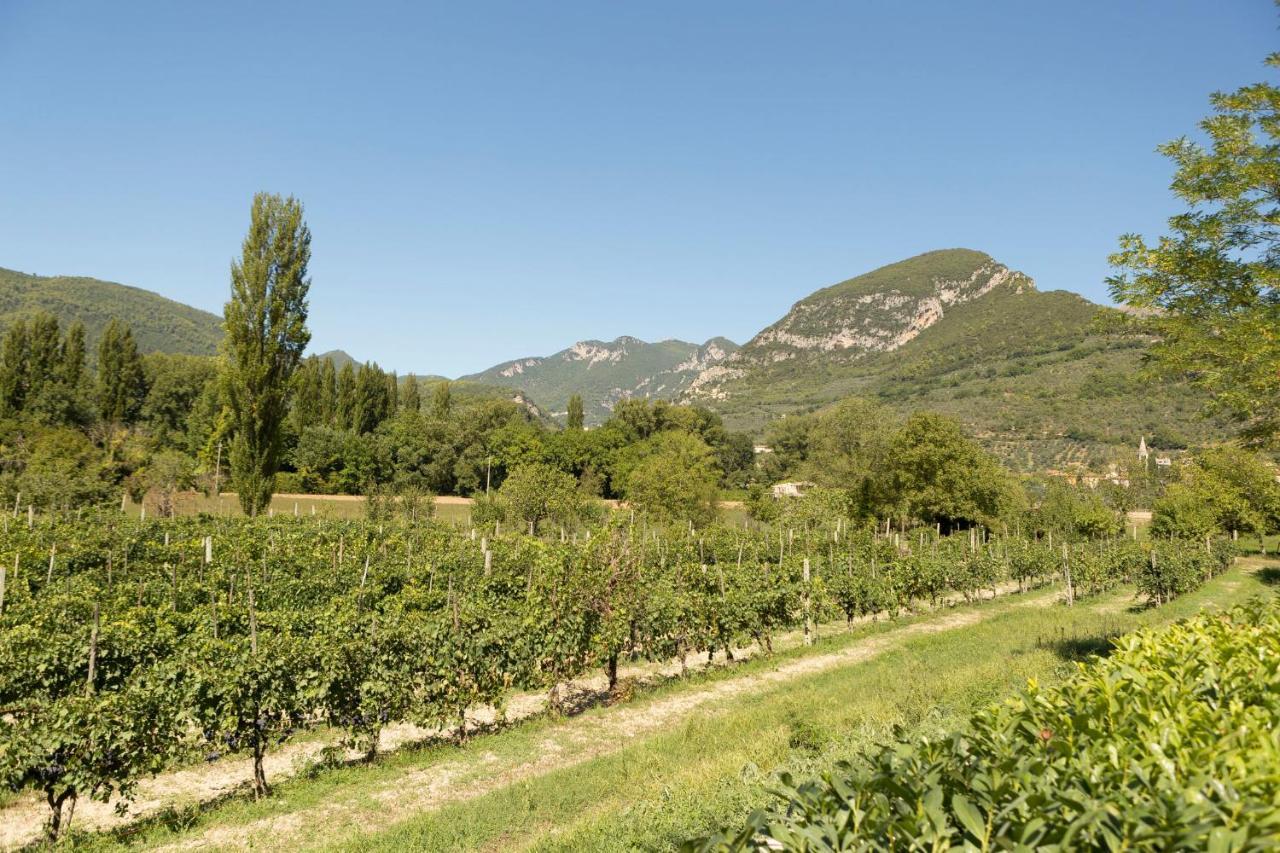Agriturismo I Melograni Ferentillo Екстериор снимка